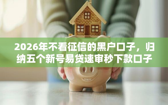 2026年不看征信的黑户口子，归纳五个新号易贷速审秒下款口子