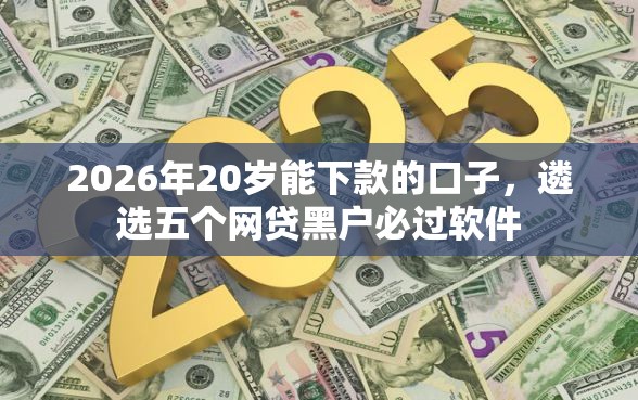 2026年20岁能下款的口子，遴选五个网贷黑户必过软件