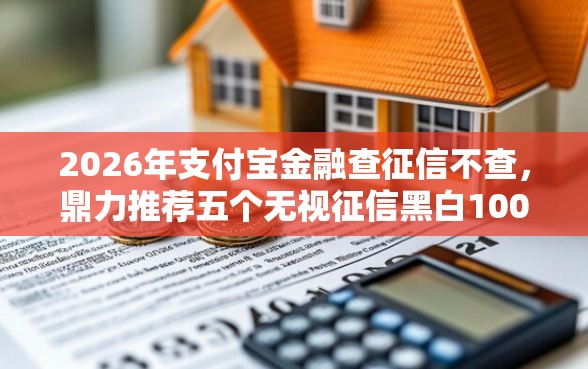 2026年支付宝金融查征信不查，鼎力推荐五个无视征信黑白100%秒下口子