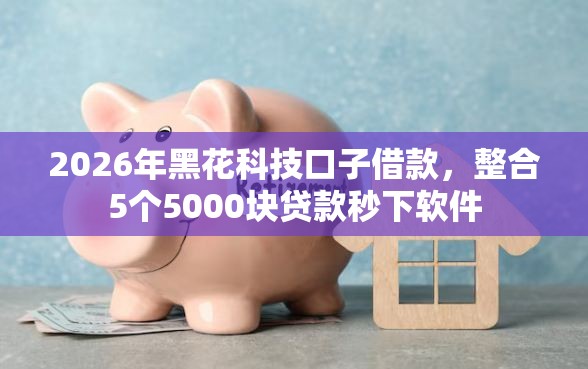 2026年黑花科技口子借款，整合5个5000块贷款秒下软件