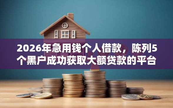 2026年急用钱个人借款，陈列5个黑户成功获取大额贷款的平台