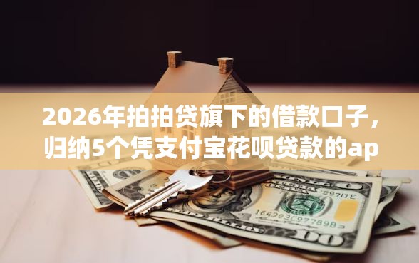 2026年拍拍贷旗下的借款口子，归纳5个凭支付宝花呗贷款的app
