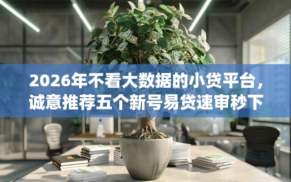 2026年不看大数据的小贷平台，诚意推荐五个新号易贷速审秒下款app