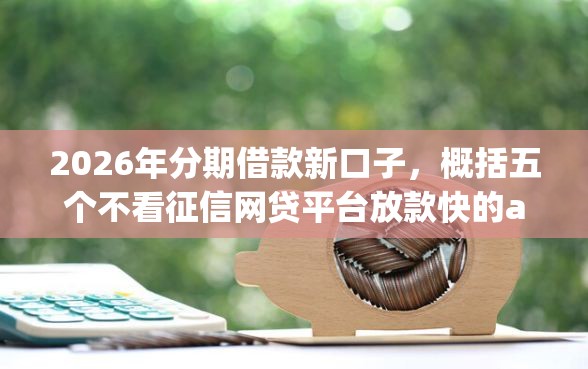 2026年分期借款新口子，概括五个不看征信网贷平台放款快的app