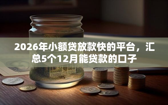 2026年小额贷放款快的平台，汇总5个12月能贷款的口子
