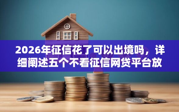 2026年征信花了可以出境吗，详细阐述五个不看征信网贷平台放款快的平台