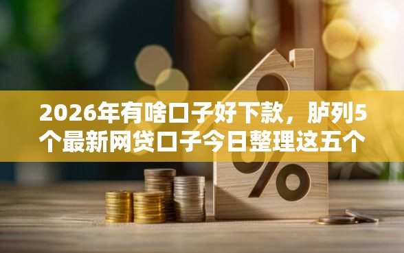 2026年有啥口子好下款，胪列5个最新网贷口子今日整理这五个口子