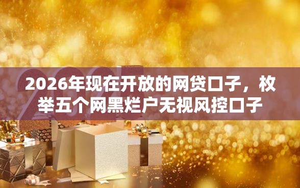 2026年现在开放的网贷口子，枚举五个网黑烂户无视风控口子