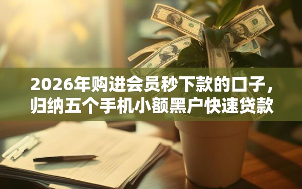 2026年购进会员秒下款的口子，归纳五个手机小额黑户快速贷款软件