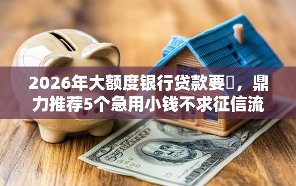 2026年大额度银行贷款要汿，鼎力推荐5个急用小钱不求征信流水轻松贷的平台