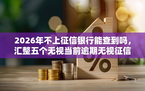 2026年不上征信银行能查到吗，汇整五个无视当前逾期无视征信的借款口子