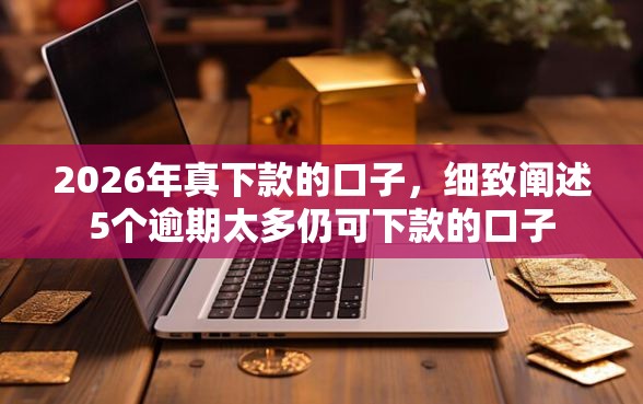 2026年真下款的口子，细致阐述5个逾期太多仍可下款的口子