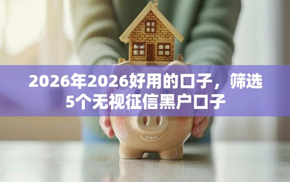 2026年2026好用的口子，筛选5个无视征信黑户口子