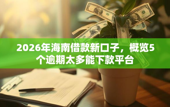 2026年海南借款新口子，概览5个逾期太多能下款平台
