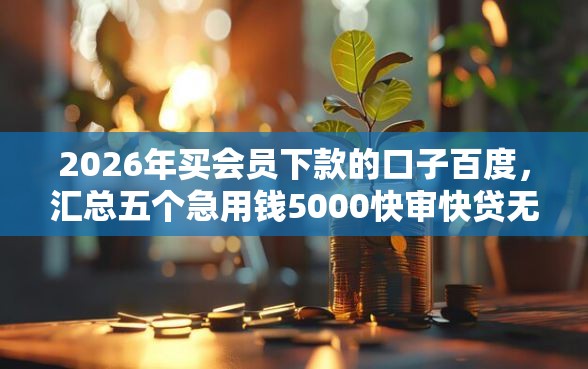 2026年买会员下款的口子百度，汇总五个急用钱5000快审快贷无需征信软件