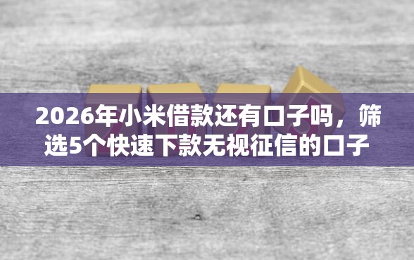 2026年小米借款还有口子吗，筛选5个快速下款无视征信的口子