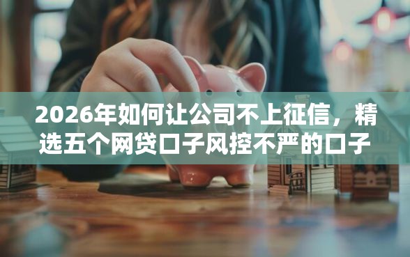 2026年如何让公司不上征信，精选五个网贷口子风控不严的口子