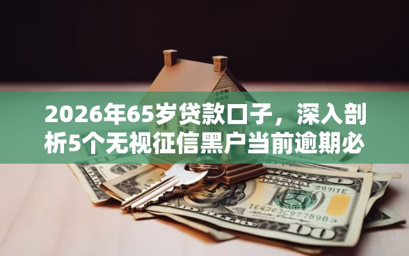 2026年65岁贷款口子，深入剖析5个无视征信黑户当前逾期必下款的口子