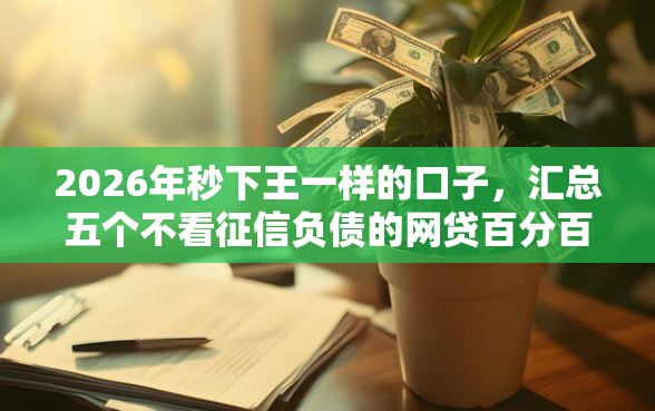 2026年秒下王一样的口子，汇总五个不看征信负债的网贷百分百下款平台