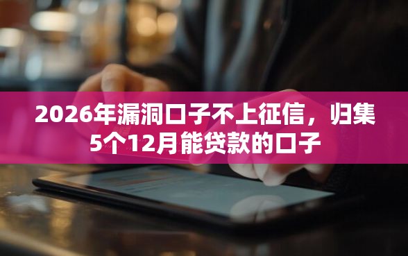 2026年漏洞口子不上征信，归集5个12月能贷款的口子