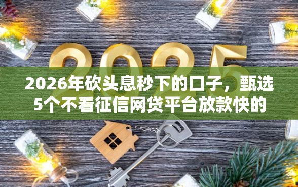 2026年砍头息秒下的口子，甄选5个不看征信网贷平台放款快的软件