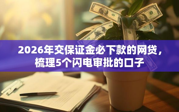 2026年交保证金必下款的网贷，梳理5个闪电审批的口子