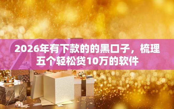 2026年有下款的的黑口子，梳理五个轻松贷10万的软件