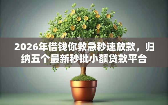 2026年借钱你救急秒速放款，归纳五个最新秒批小额贷款平台