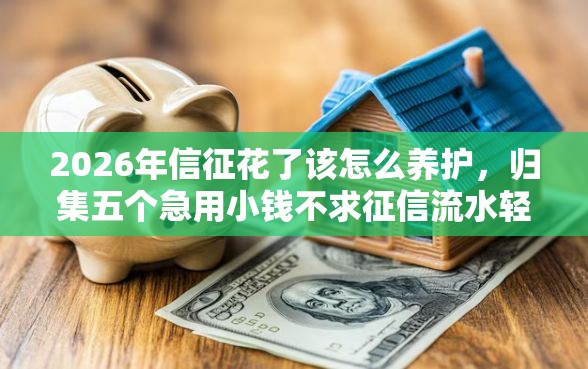 2026年信征花了该怎么养护，归集五个急用小钱不求征信流水轻松贷的软件