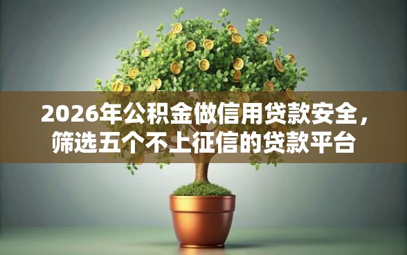 2026年公积金做信用贷款安全，筛选五个不上征信的贷款平台
