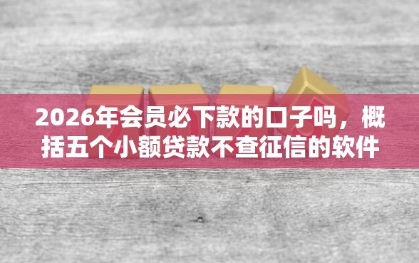 2026年会员必下款的口子吗，概括五个小额贷款不查征信的软件