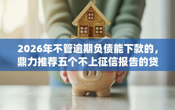 2026年不管逾期负债能下款的，鼎力推荐五个不上征信报告的贷款app