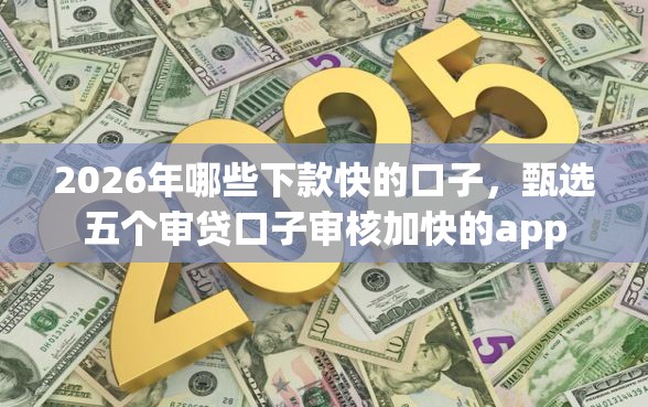 2026年哪些下款快的口子，甄选五个审贷口子审核加快的app