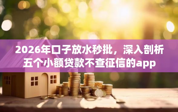 2026年口子放水秒批，深入剖析五个小额贷款不查征信的app