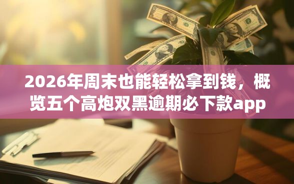 2026年周末也能轻松拿到钱，概览五个高炮双黑逾期必下款app