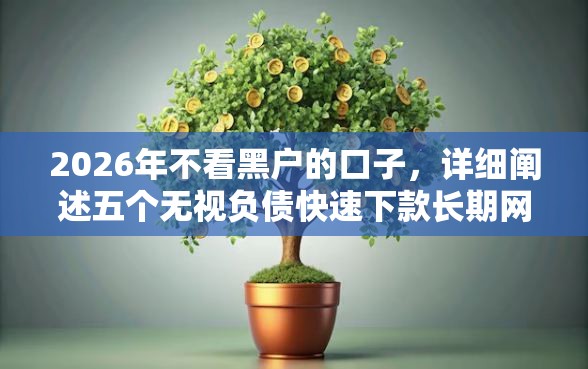 2026年不看黑户的口子，详细阐述五个无视负债快速下款长期网贷的软件