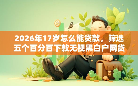 2026年17岁怎么能贷款，筛选五个百分百下款无视黑白户网贷口子