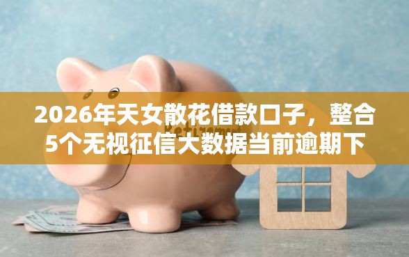 2026年天女散花借款口子，整合5个无视征信大数据当前逾期下款的口子