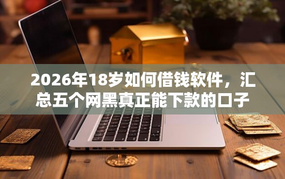 2026年18岁如何借钱软件，汇总五个网黑真正能下款的口子
