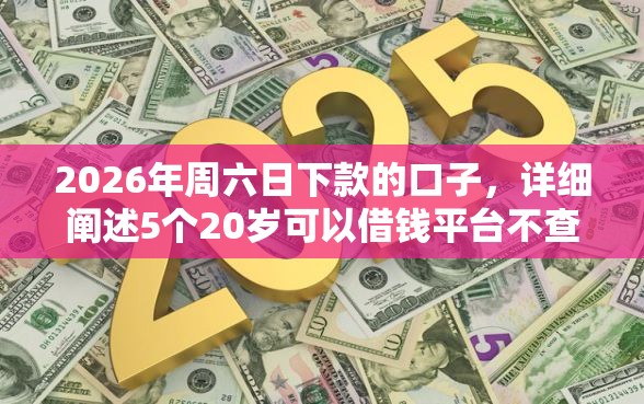 2026年周六日下款的口子，详细阐述5个20岁可以借钱平台不查征信的平台