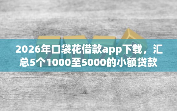 2026年口袋花借款app下载，汇总5个1000至5000的小额贷款软件