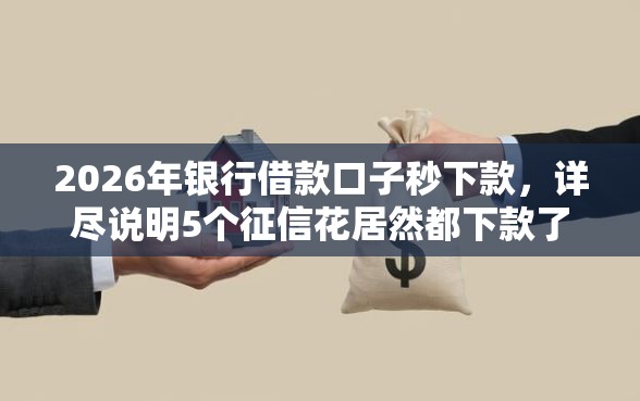 2026年银行借款口子秒下款，详尽说明5个征信花居然都下款了的软件