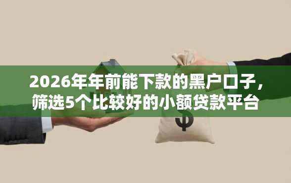 2026年年前能下款的黑户口子，筛选5个比较好的小额贷款平台