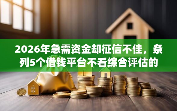 2026年急需资金却征信不佳，条列5个借钱平台不看综合评估的app