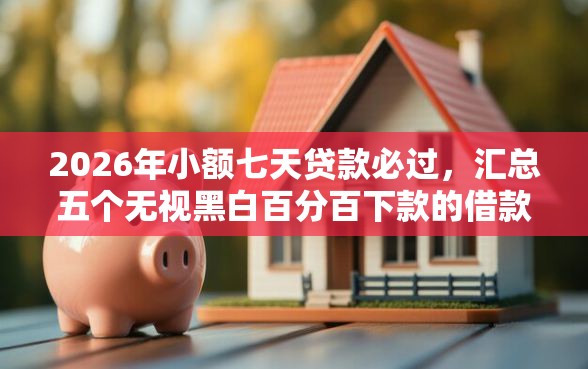 2026年小额七天贷款必过，汇总五个无视黑白百分百下款的借款软件