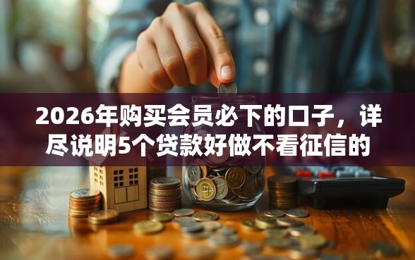 2026年购买会员必下的口子，详尽说明5个贷款好做不看征信的口子
