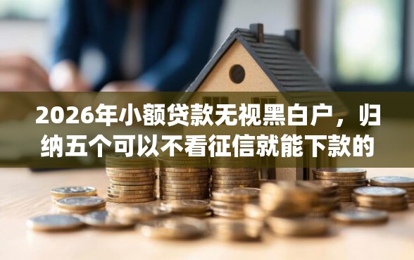 2026年小额贷款无视黑白户，归纳五个可以不看征信就能下款的app