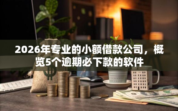 2026年专业的小额借款公司，概览5个逾期必下款的软件