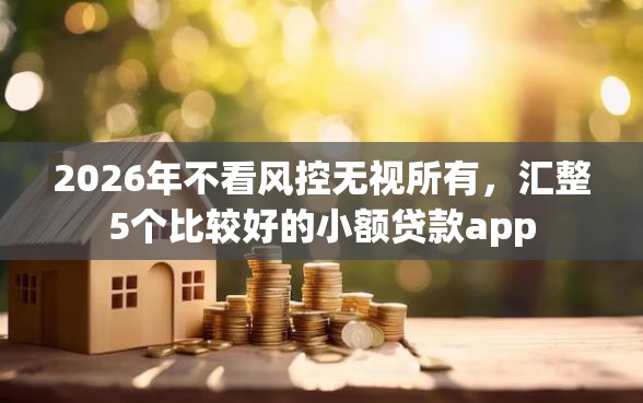 2026年不看风控无视所有，汇整5个比较好的小额贷款app