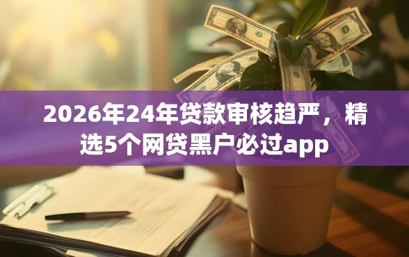 2026年24年贷款审核趋严，精选5个网贷黑户必过app